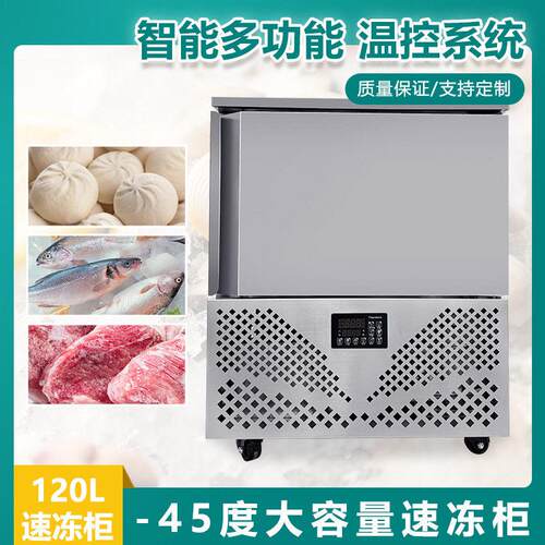 120升立式速冻柜海鲜豆腐干速冻小型商餐饮中央厨房专用冷冻柜