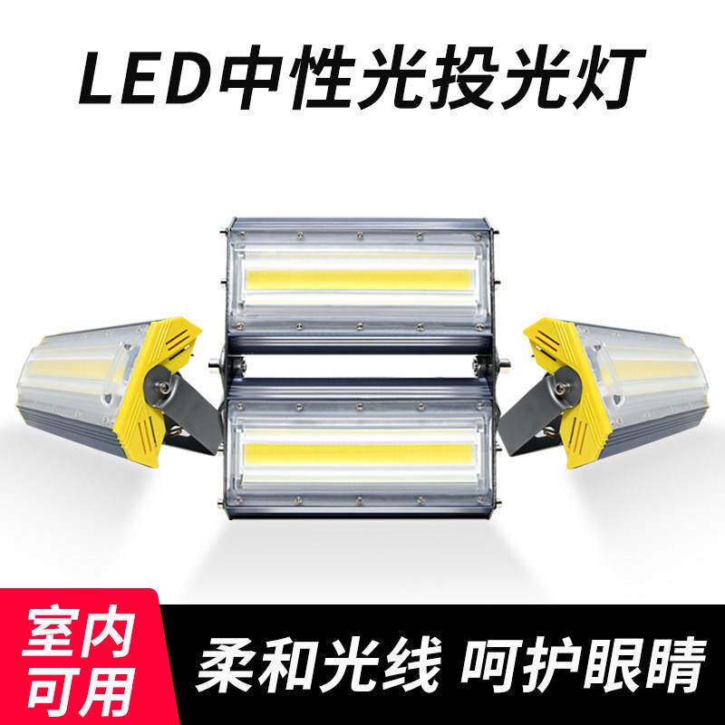 户外LED投光灯庭院照明 防水IP67中性光超亮设计 简约风格室内装