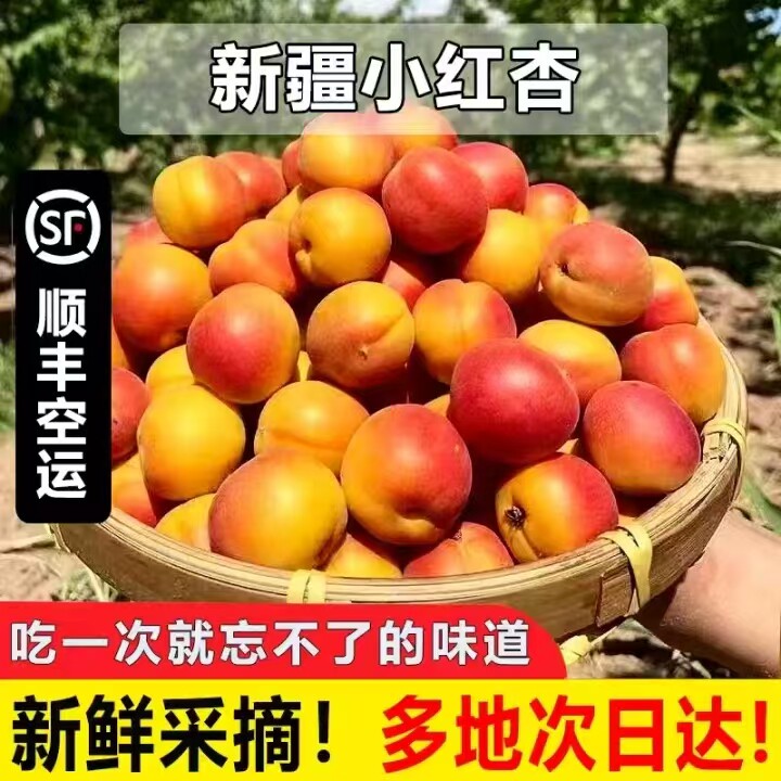 正宗新疆小红杏新鲜水果当季甜伊犁吊杆杏杏子黄杏胜小白杏包邮w