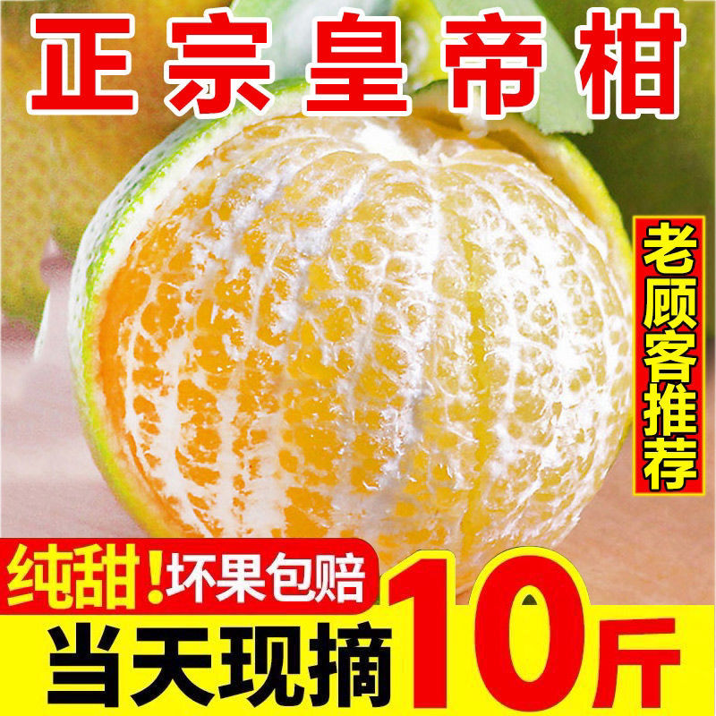 现货正宗皇帝柑10斤新鲜当季整箱包邮云南橘子桔子广西贡柑爱媛橙