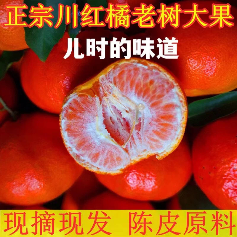 重庆红橘子大红袍当季新鲜水果10斤正宗川红橘陈皮原料万州古红桔
