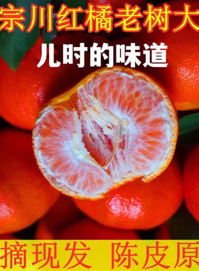 重庆红橘子大红袍当季新鲜水果10斤正宗川红橘陈皮原料万州古红桔