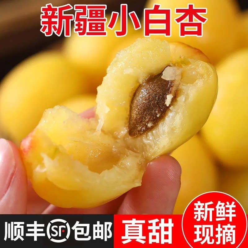 新疆特产轮台小白杏新鲜水果甜杏子正宗白杏现摘应季鲜杏整箱顺丰