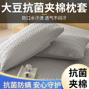大豆夹棉抗菌枕头套48cmx74cm全包拉链a类可机洗家用一对装 儿童