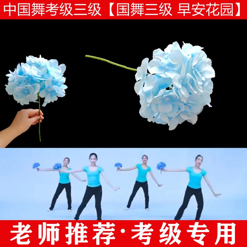 文旅部艺术中心中国舞考级第三级早安花园花朵一束国舞三级考级