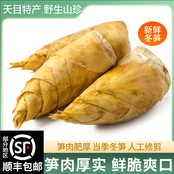 浙江杭州特产新鲜冬笋农家现挖冬笋子当季时令蔬菜冬笋笋尖