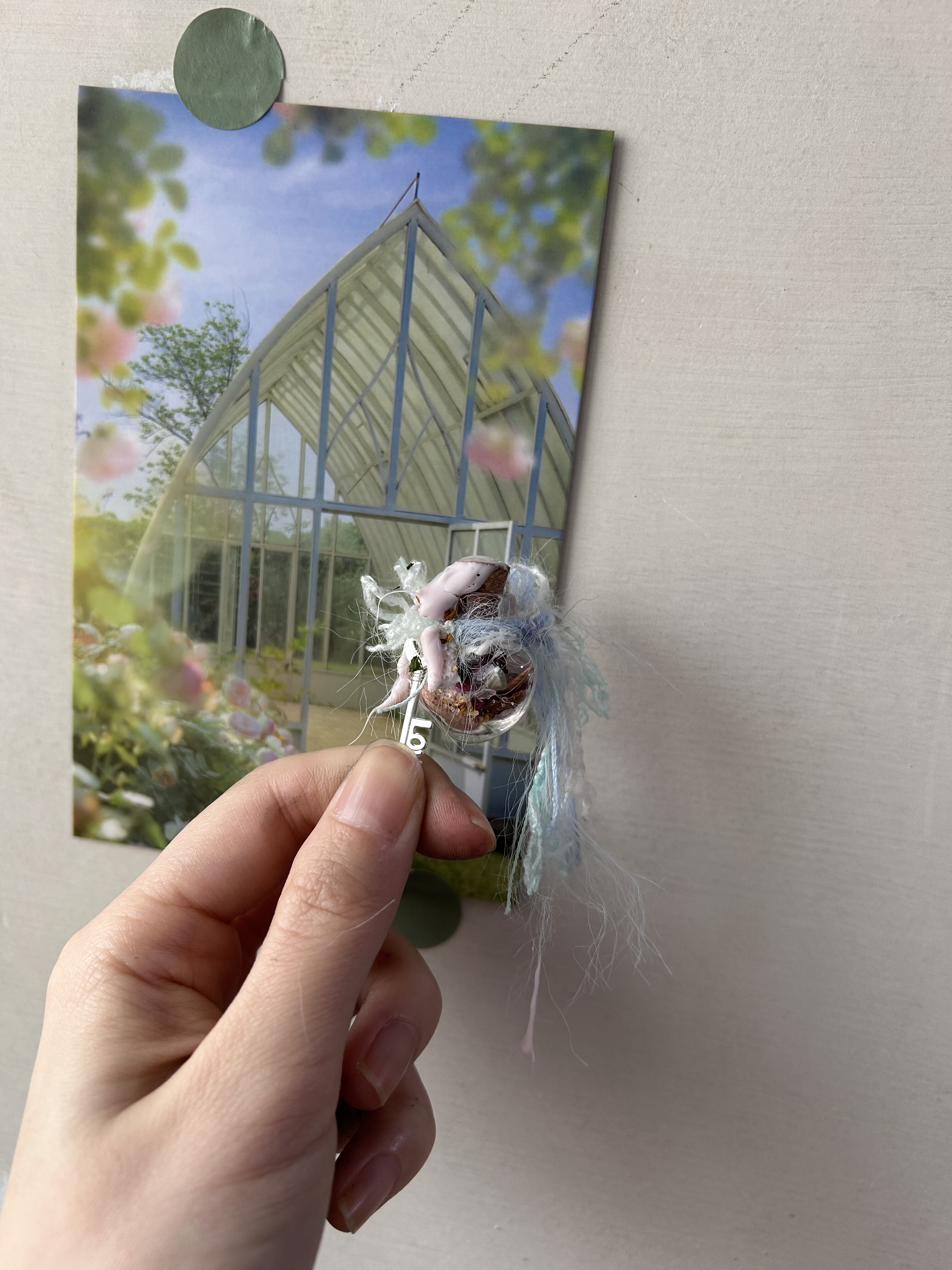 植物天然水晶许愿瓶摆件原19.9新年福利价3.9满68元包邮单拍不发
