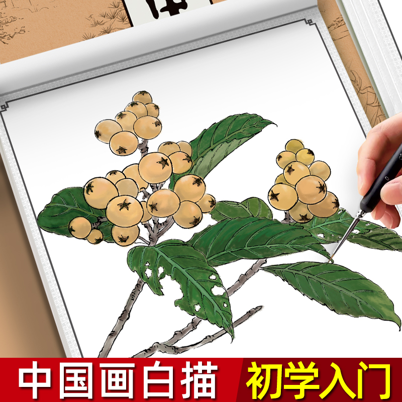 中国画白描临摹画册古风花卉人物