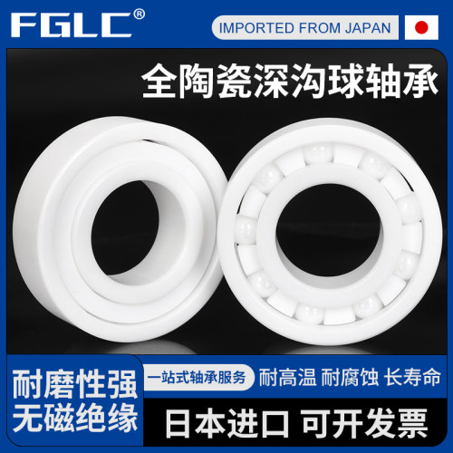进口氧化锆全陶瓷轴承6306密封6307满珠6308 6309 6310 6311CE