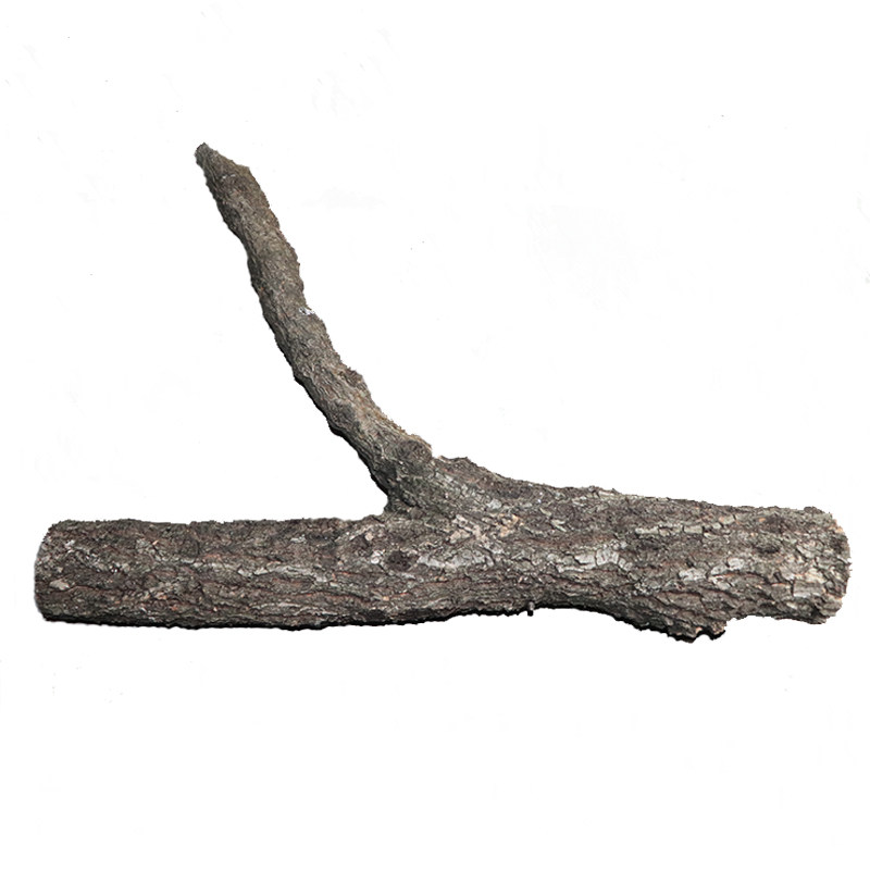 香槟木天然沉木造景黄栎木造景雨林缸爬宠造景木一物一拍支持定制