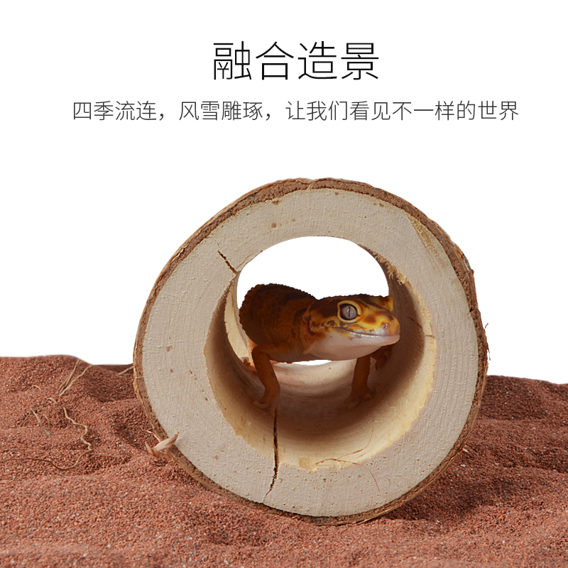 爬宠天然桦木树洞躲避洞穴爬虫箱造景树枝蜥蜴守宫蛇树根摆件装饰