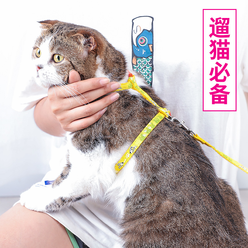 猫咪专用牵引绳溜猫遛猫绳神器防挣脱猫链子猫绳子猫链猫牵引用品