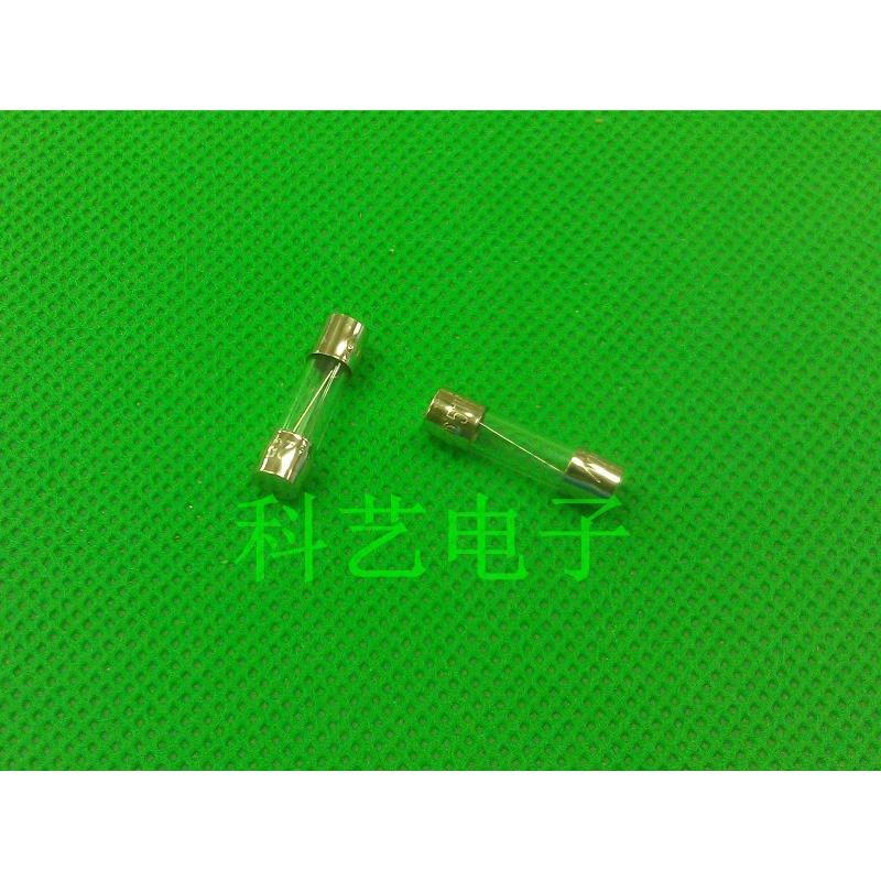 5*20 T10AL250V T10A250V 10A 250V优质延时保险丝管100个32元