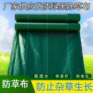 厂家供应农用防草布除草布果园艺果树苗保湿 透气抗老化黑绿色地布