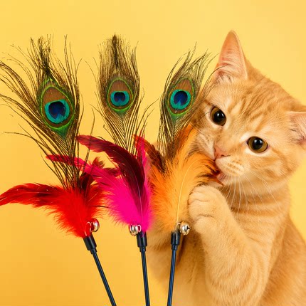 迈凯特猫玩具孔雀毛逗猫棒长杆自嗨解闷神器必备猫咪玩具宠物用品