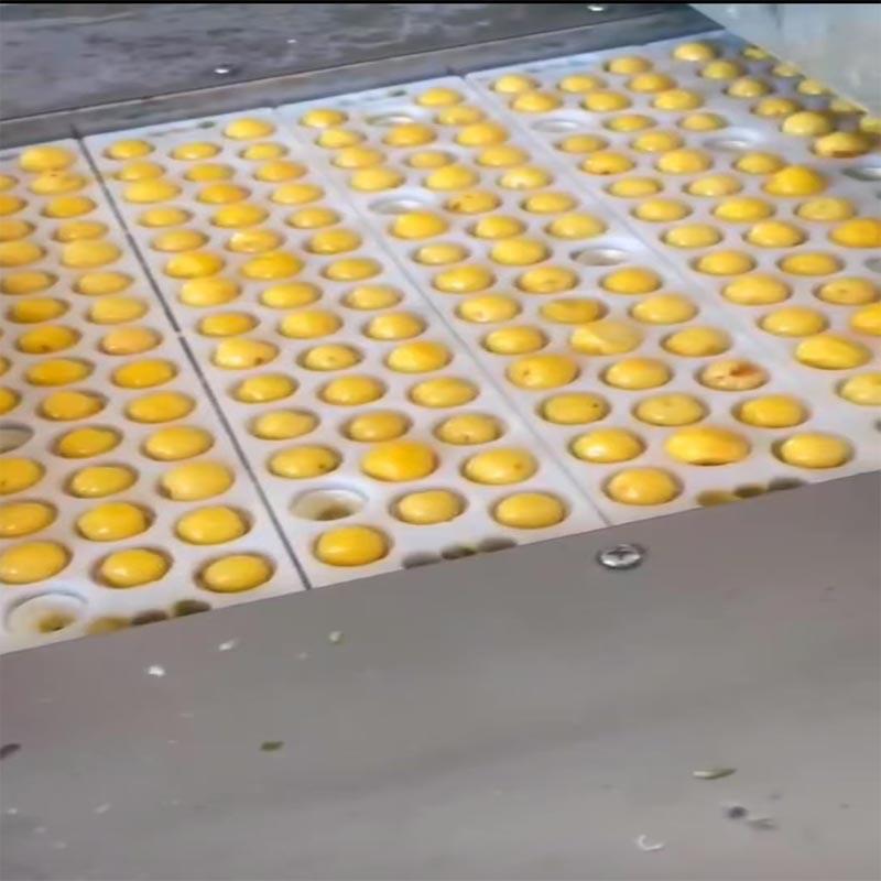 樱桃青梅杨梅去核机全自动李子油柑果捅核机龙眼荔枝去核机