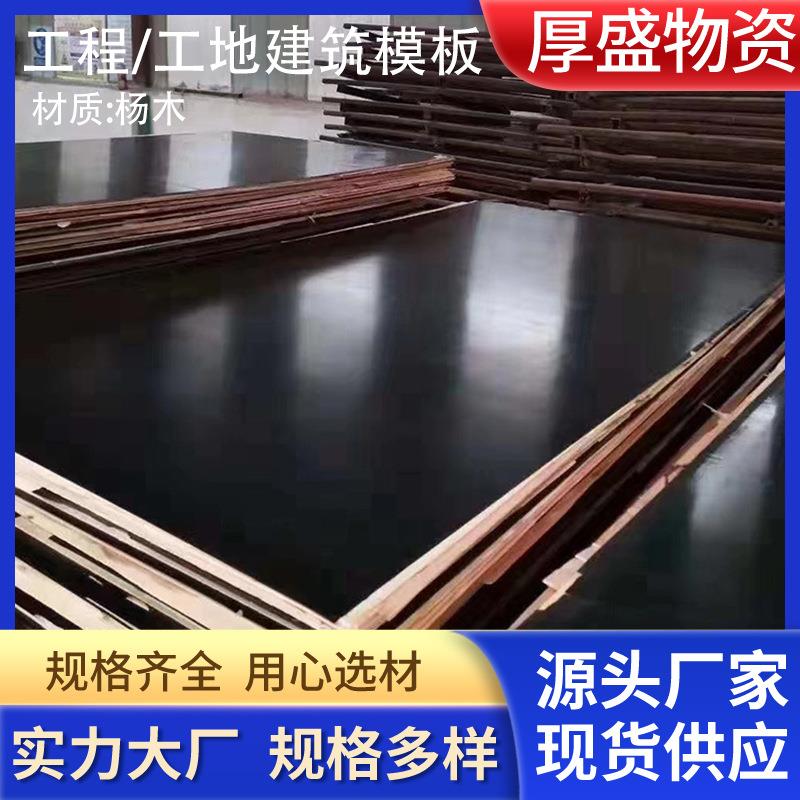 建筑模板一次成型杨木胶合板覆膜模板杨木多层板工程工地建筑模板