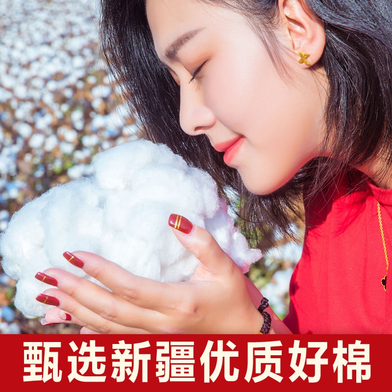 新疆棉被10斤棉花被芯单人手工被子褥子棉胎棉絮双人冬被垫被全棉