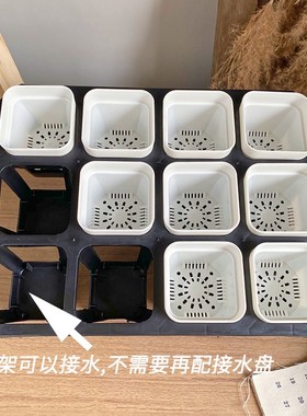 【特厚浅方盆托架组合】小黑方盆移动12格24格整齐收纳控多肉景天