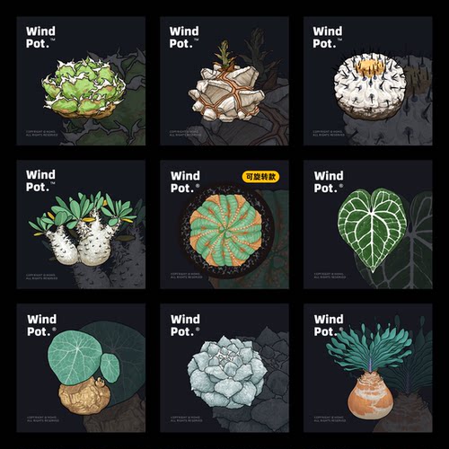 windpot原创植物冰箱贴蝴蝶兰冰箱贴热植磁贴块根创意