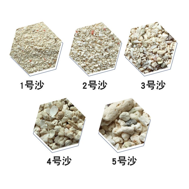 蓝色珍品海缸珊瑚沙海沙12 3 4 5号菲律宾沙子天然珊瑚砂 珊瑚骨