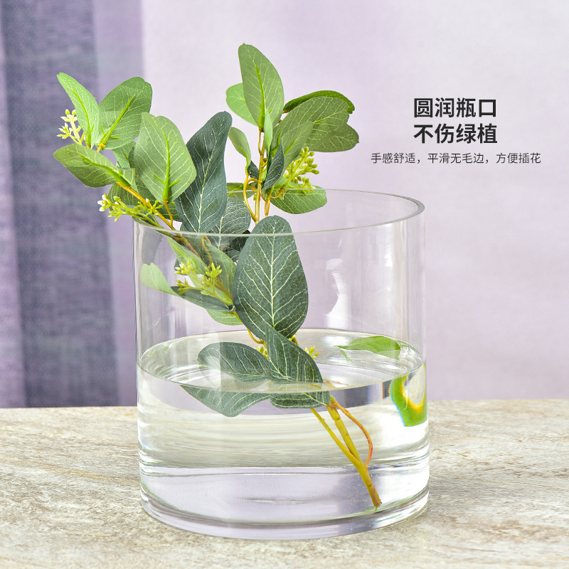 简约百搭特大口径直筒玻璃花瓶摆件客厅插花富贵竹马醉木水培花器