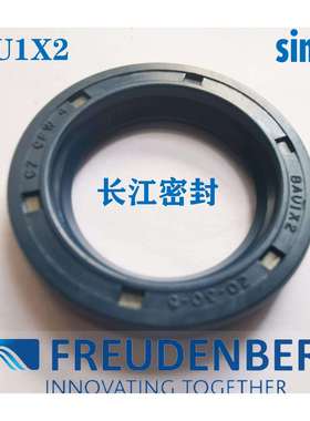 95-145-13/10 BAU5SLX2 CFW A德国骨架油封