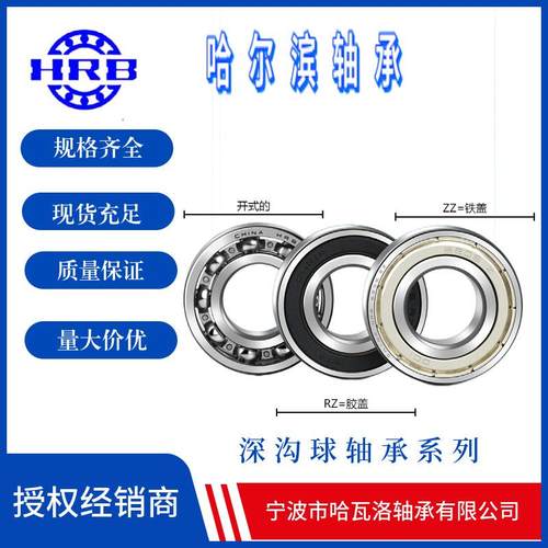 HRB 6319 2ZZ 哈尔滨向心深沟球轴承内径95mm 外径200mm厚度45mm