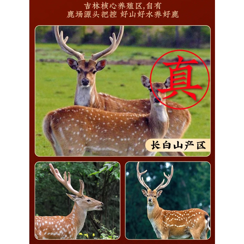 鹿茸葡萄籽油省心套餐补肾益气滋补元气重振雄风男士保养中药油