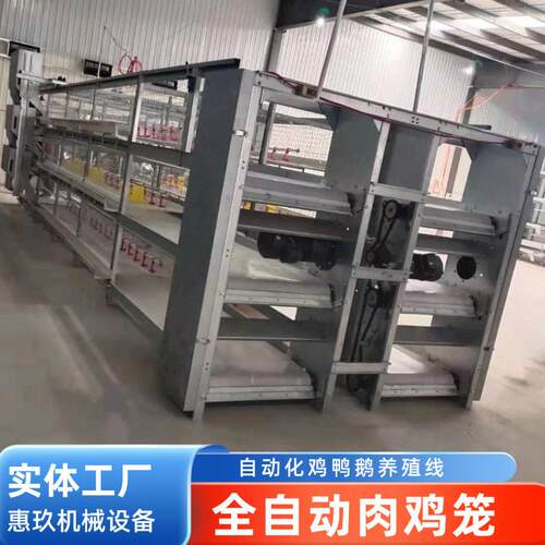全自动清粪捡蛋镀锌丝肉鸡笼厂家畜牧养殖设备养鸡笼加工定制