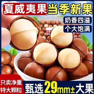 农科院夏威夷果官方旗舰店25新货孕妇儿童即食健康休闲解馋小零食