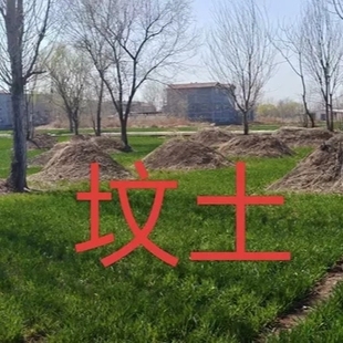 自采祭奠土圆坟土福泽土乐葬土坟山土福德土添坟土坟民间压镇物品