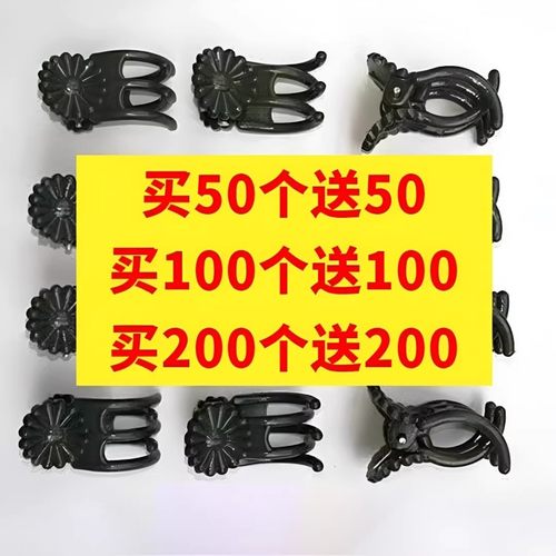 绿蝴蝶兰夹子固定造型