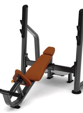 OURSLIFE上斜训练椅商用健身房力量训练器X2102