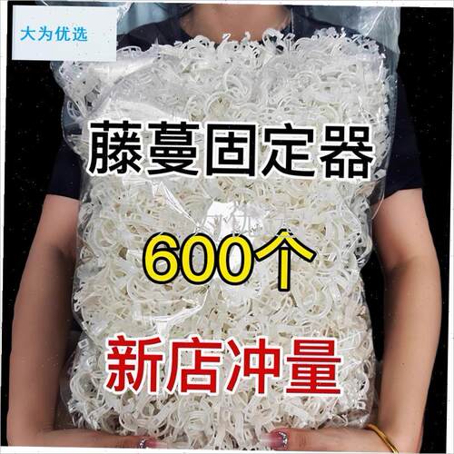 树植物固定夹卡扣k绿植绿萝藤蔓固定器秧苗爬藤支撑杆秧苗吊秧夹.