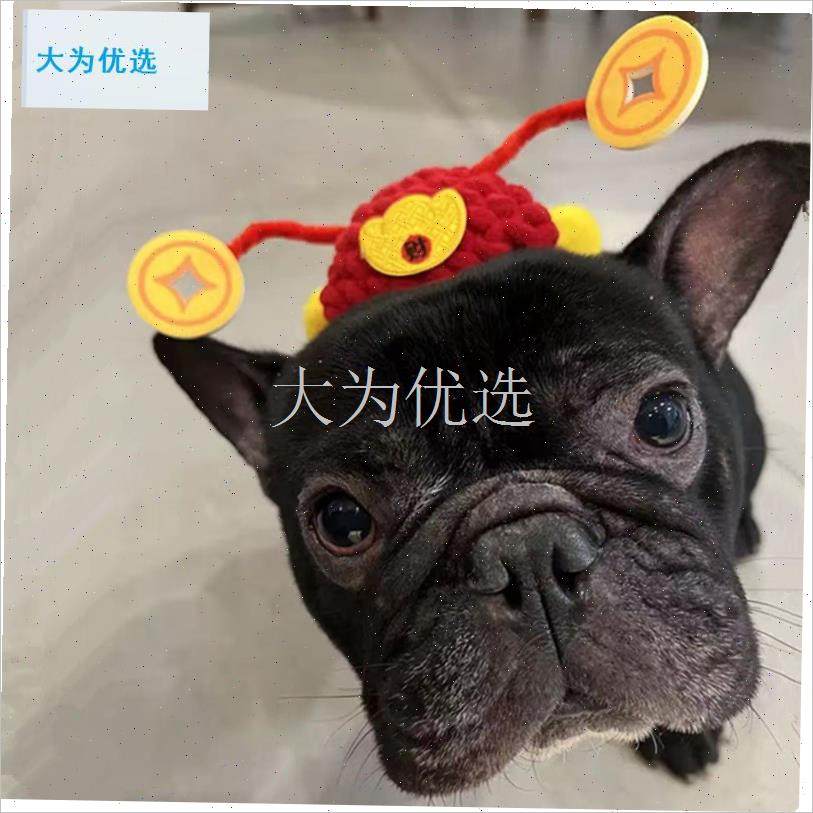 神帽狗狗头d套豆柴犬喜庆猫咪元宝帽可爱发财帽过年宠物新年头饰.,宠物/宠物食品及用品,帽子,淘宝优惠券,粉丝福利购,淘宝优惠卷