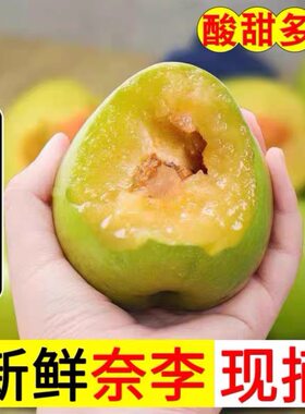广西桂林当季青奈李脱骨新鲜香甜可口脆嫩多汁薄皮肉厚果园直发