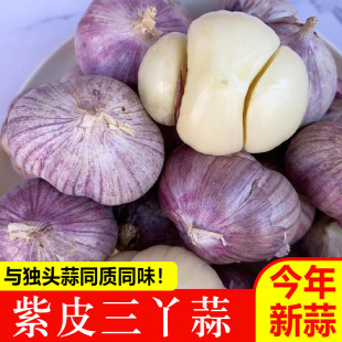 2025云南紫皮三丫蒜大蒜新鲜现挖湿蒜红蒜瓣蒜大蒜头