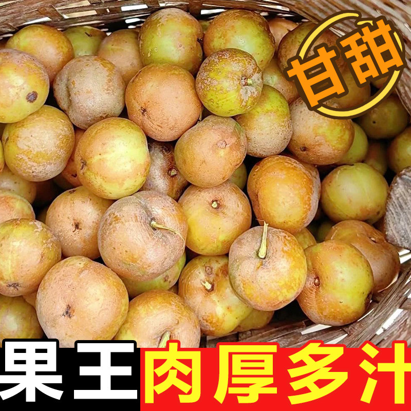 新鲜采摘青油甘果余甘果牛甘果滇橄榄当季油柑酸水果余甘子包邮