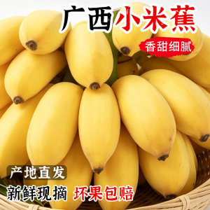 正宗广西小米蕉香蕉9斤新鲜水果整箱当季鲜苹果蕉自然熟粉蕉包邮