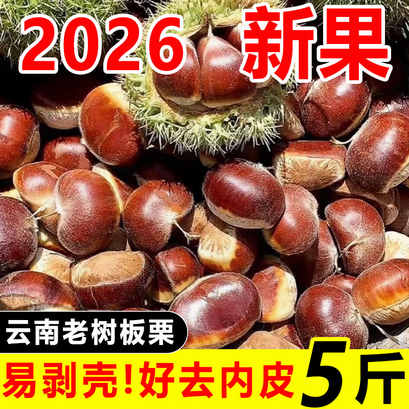 2026新下树油栗正宗野生老树油板栗带壳生板栗新鲜现摘生油栗