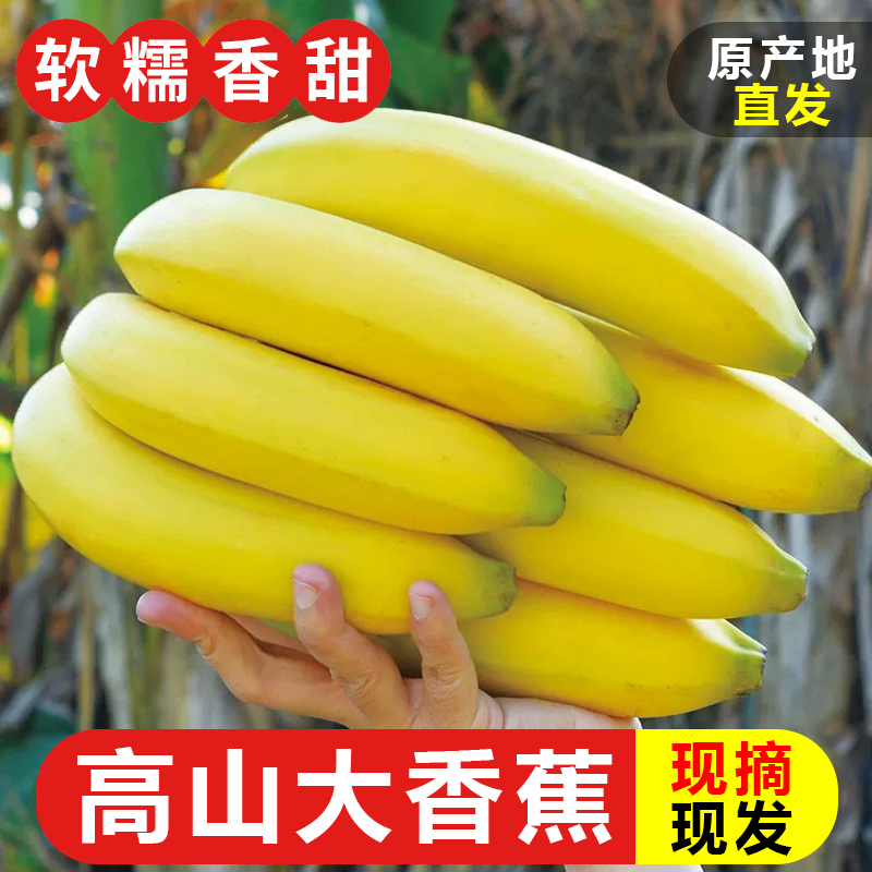 广西高山甜香蕉现摘当季新鲜水果大芭蕉小米蕉甜蕉皇帝蕉整箱青皮