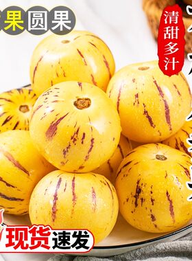 正宗新鲜人参果云南石林树上熟黄肉超大果当季整箱包邮人生果水果