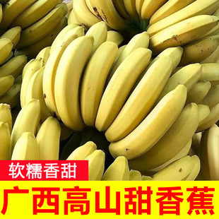 整箱绿皮甜蕉banana水果 正宗广西高山香蕉甜糯香浓青皮香蕉9斤装