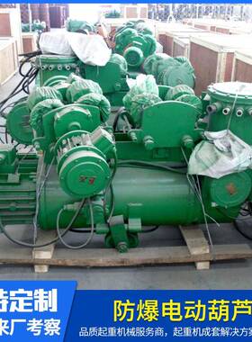 2吨防爆电动葫芦起重装卸设备起重葫芦防爆钢丝绳电动葫芦2t6m9m