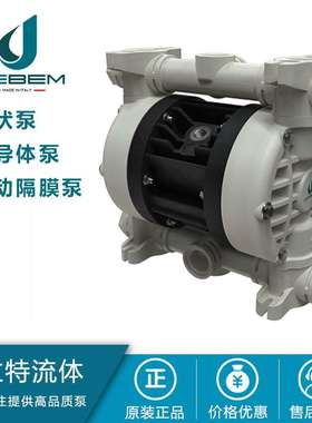 DEBEM 滚涂机泵 实验室气体输送泵 钢厂脱硫泵 IB81-P-HTTPT