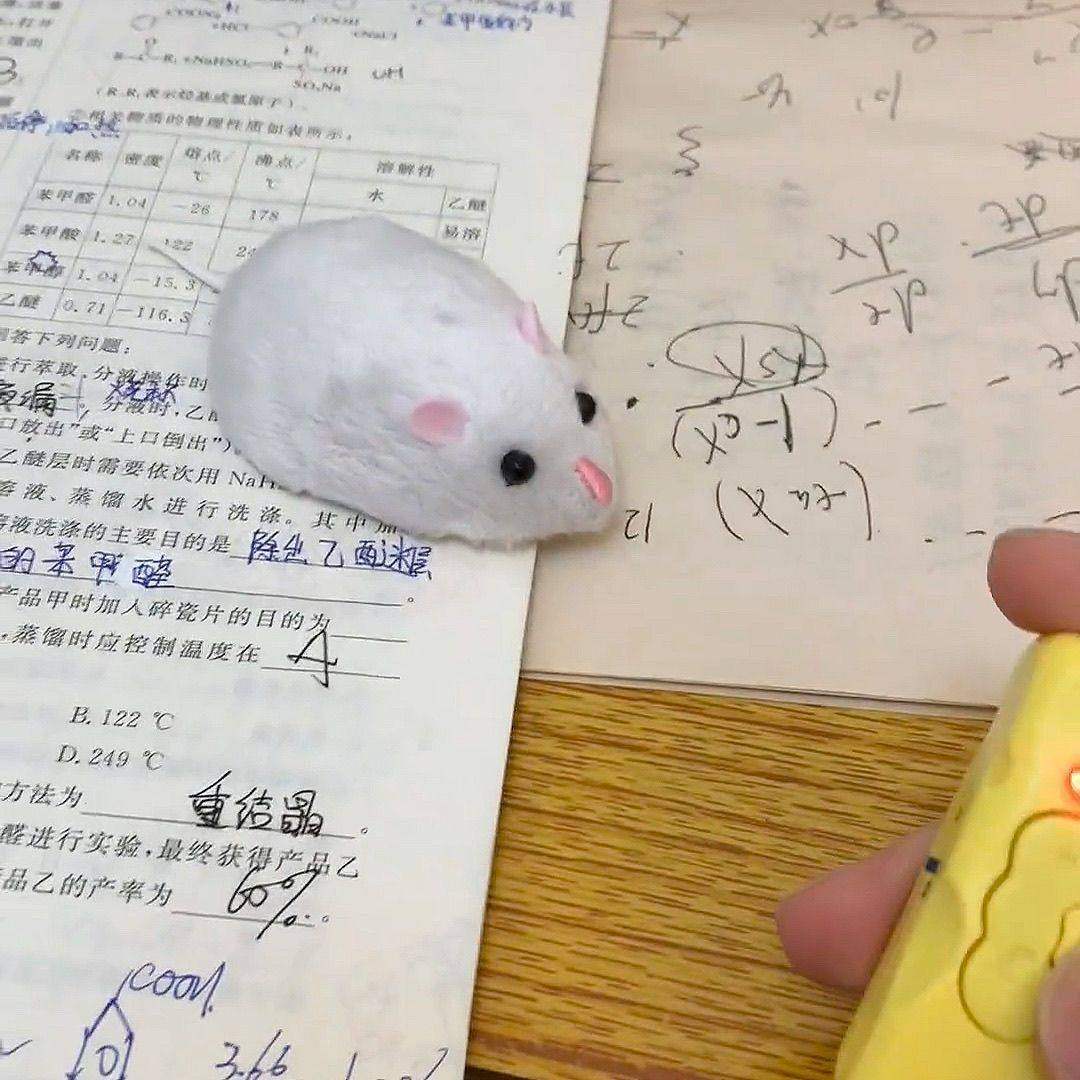 遥控老鼠抽象小玩意解压逗猫玩具真电动趣味整蛊玩具旋转小老鼠