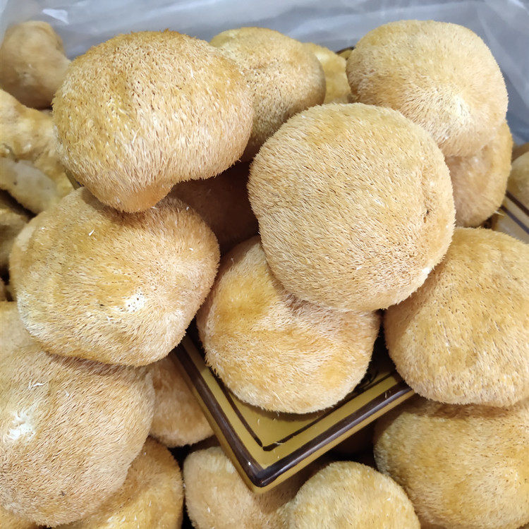 帆儿庄园猴头菇干货各种规格菇散装猴头蘑特产食用菌干货