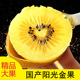 阳光金果国产黄心猕猴桃金果奇异果金桃儿童孕妇弥泥猴