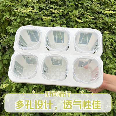 3寸花盆六格托架白色高透观根盆组合托架热植月季海棠水苔花盆